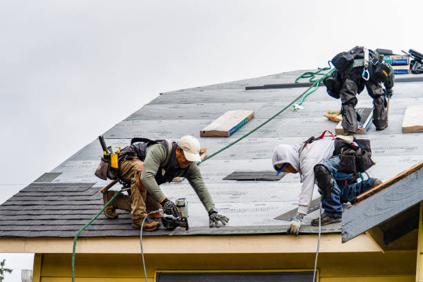 Professional Roofing technician working in La Valle, WI